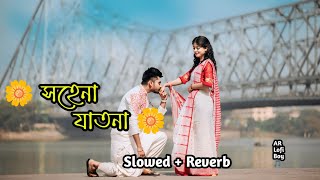 Sohena Jatona সহেনা যাতনা SlowedReverb  Bangla Romantic Lofi Song  AR Raihan Official [upl. by Llerrem561]