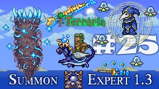 Terraria ซัมมอน ตอนที่ 25 Stardust ซัมมอนที่รอมาแสนนาน [upl. by Alvera]