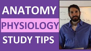 Anatomy and Physiology Study Tips  How to ACE Anatomy amp Physiology [upl. by Walden]