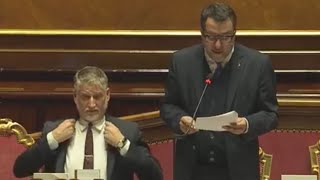 IL MINISTRO SALVINI RISPONDE AL QUESTION TIME AL SENATO DELLA REPUBBLICA [upl. by Troxell681]