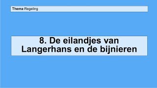 VMBO 3  Regeling  Basisstof 8 De eilandjes van langerhans en de bijnieren [upl. by Proud]