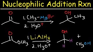 Nucleophilic Addition Reaction Mechanism Grignard Reagent NaBH4 LiAlH4 Imine Enamine Reduction [upl. by Eninaej]