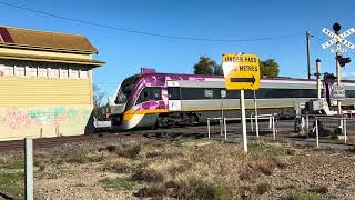 SG Vlocity Arriving at Benalla  Vic Spotters [upl. by Prudy]