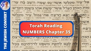 Numbers Chapter 35  Torah Reading in Hebrew with English Translation  TORAH STUDY [upl. by Middlesworth200]