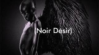 Youssoupha  Noir Désir Lyrics [upl. by Pride593]