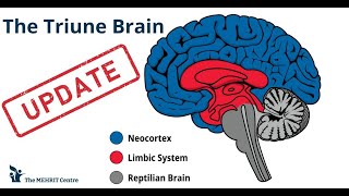 Debunking the Myth of the Reptile Brain [upl. by Dreyer952]