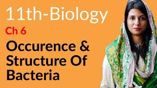 11th Class Biology Ch 6  Occurrence amp Structure of Bacteria  FSc Biology Part 1 [upl. by Roselani90]