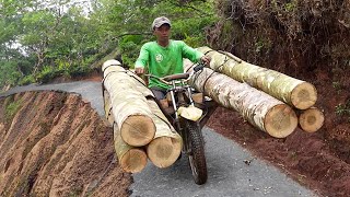 Extreme OffRoad Bikes Moving Tons of Logs in Mountain [upl. by Eelrebma]