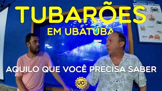 Novos ataques de tubarões e tubarões em Ubatuba Esclarecimentos com Hugo Gallo Neto [upl. by Sral]