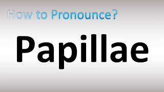 How to Pronounce Papillae [upl. by Brandise]