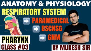 PHARYNX NasopharynxOropharynx amp Laryngopharynx II RESPIRATORY SYSTEM II CLASS 03 II ANATOMY [upl. by Eleaffar]