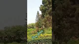 Taxila Museum Garden shortvideo pakistan [upl. by Islaen993]