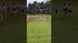 Lindsays Short Course XC U15 Girls Race Start [upl. by Mitzi]