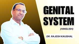 Histology of quotGenital Systemquot Explained in Hinglish by Dr Rajesh Kaushal  213 [upl. by Ferriter38]