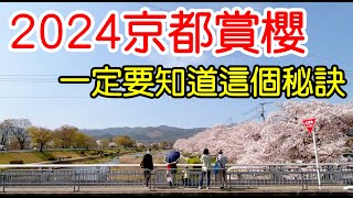 【日本旅遊】2024年日本京都櫻花季賞櫻全攻略🌸5大京都賞櫻景點推薦・京都賞櫻秘訣・京都自由行攻略・京都旅遊・日本自由行・哲學之道・蹴上・鴨川・伏見桃山・伏见十石舟・祇園白川・京都站4K [upl. by Nahtanhoj]