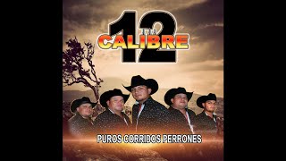 Calibre 12  Corrido De Don Oscar Audio [upl. by Kegan77]