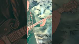 Tenor Guitar Time quotArchaic Revivalquot Shorts music [upl. by Ewald]