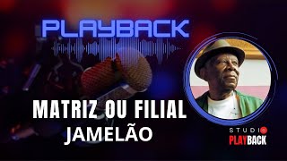 Matriz ou Filial  Jamelão PLAYBACK [upl. by Bodnar214]