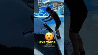 A huge dolphin caused a panic in the water park 🐬🌊 [upl. by Danelle]