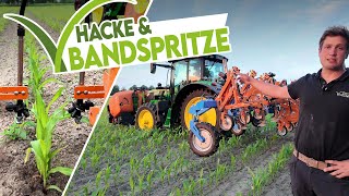 🌽 Feldversuch Maschinenvorstellung amp Optimierung ➡️ Unsere Schmotzer Venterra Hacke mit Bandspritze [upl. by Petronilla]