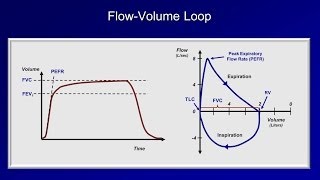 Pulmonary Function Tests PFT Lesson 2  Spirometry [upl. by Lippold682]