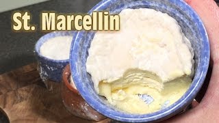 How to make SaintMarcellin style cheese at Home [upl. by Gigi]