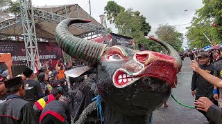 Bantengan terbesar 1000 Bantengan Nuswantoro kota batu malang [upl. by Fabio]