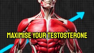 Increase Your Testosterone In 24 Hours naturally [upl. by Tildi581]