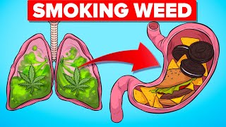 What Happens To Your Body When Smoking Weed [upl. by Hercule]