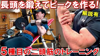 【筋トレ】上腕二頭筋の長頭から鍛えてピークを作る！POF法で鍛える5種目のトレーニング【解説有】 [upl. by Anerres]