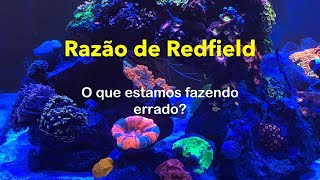 Razão de Redfield  O que estamos fazendo errado [upl. by Selestina]