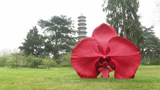 Science and nature inspire huge new sculpture series at Londons Kew Gardens [upl. by Demeter]