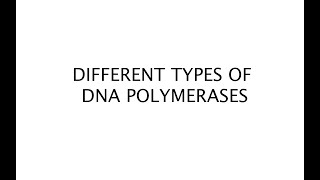 Different types of DNA polymerases 29 [upl. by Shreve]