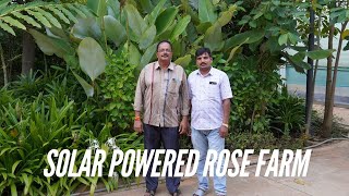 Solar Powered ROSE Farm  50KW Solar Power Plant [upl. by Koal]