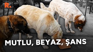 Mutlu Beyaz ve Şans Biri pozitif biri oyuncu biri de artist [upl. by Ilac170]