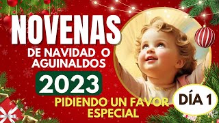 día 1 NOVENA de NAVIDAD o AGUINALDOS 🎄 16 DICIEMBRE 2023🎄COMPLETAS  pidiendo un favor muy especial [upl. by Leiand697]