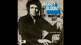 Bobby Bloom  Montego Bay 1970 Track of the Day [upl. by Ahsircal]