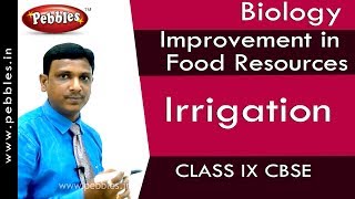 Irrigation  Improvement in Food Resources  Biology  Class 9  CBSE [upl. by Wolfgram]