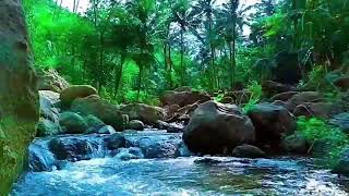 RELAXING NATURE SOUND  INSOMNIA ANDA HEALINGSLEEP MUSICRIVER SOUNDRIVER SOUNDS FOR SLEEPING [upl. by Prescott]