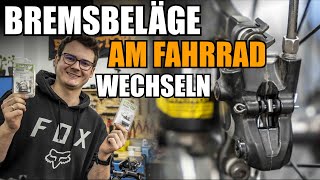 Bremsbeläge am Fahrrad wechselntauschen  Bremssattel schleiffrei einstellen [upl. by Svensen462]