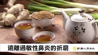 遠離過敏性鼻炎 中醫調理還您呼吸順暢  談古論今話中醫405 [upl. by Grae574]