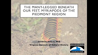 The ManyLegged Beneath Our Feet Myriapods of the Piedmont Region [upl. by Bonaparte578]