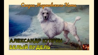 Рассказ Белый пудель Александр Куприн [upl. by Mount385]