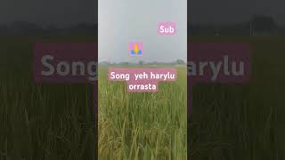 Song haryali Or rasta song [upl. by Primavera319]