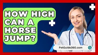 How High Can A Horse Jump  PetGuide360com [upl. by Yeoz973]