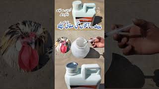 Treatment of Sick Birds at Home  How to Deworm Poultry Birds  Ezole Drench  Dr ARSHAD [upl. by Dorfman516]