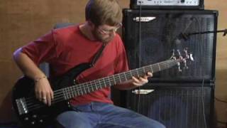 Becoming the Archetype  quotDichotomyquot Bass Cover [upl. by Nedyrb]