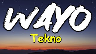 Tekno  Wayo Lyrics [upl. by Fredrika]