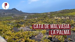 Cata de Malvasia  La Palma [upl. by Nerrej]