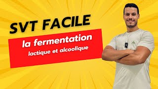 la fermentation lactique et alcoolique [upl. by Dawn]